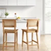 Tormod Backed Cane Counter Height Barstool - Threshold™
