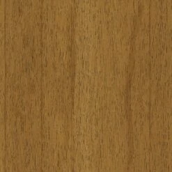 2pk Timo Dining Chair Gray - Project 62™ 14 2pk Timo Dining Chair Gray - Project 62™ -Dine Furniture GUEST b327b469 62d5 47db af48 60b3167dfa12